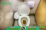 Cách xử lý bồn cầu bị nghẹt giấy tại nhà hiệu quả 