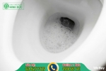 Bồn cầu xả nước yếu? Nguyên nhân và cách xử lý hiệu quả