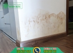 Cách khắc phục sơn tường bị ố vàng, nấm mốc mất thẩm mỹ đơn giản