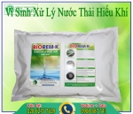 Các ứng dụng của men vi sinh trong xử lý nước thải