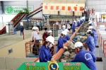 Tái chế là gì? Lý do nên tái chế các loại chất thải