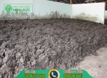 Làm cách nào để quản lý bùn thải từ hệ thống xử lý nước thải