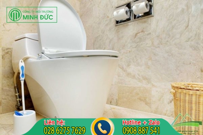 C&oacute; nhiều nguy&ecirc;n nh&acirc;n l&agrave;m bồn cầu bị đen v&agrave; ố v&agrave;ng