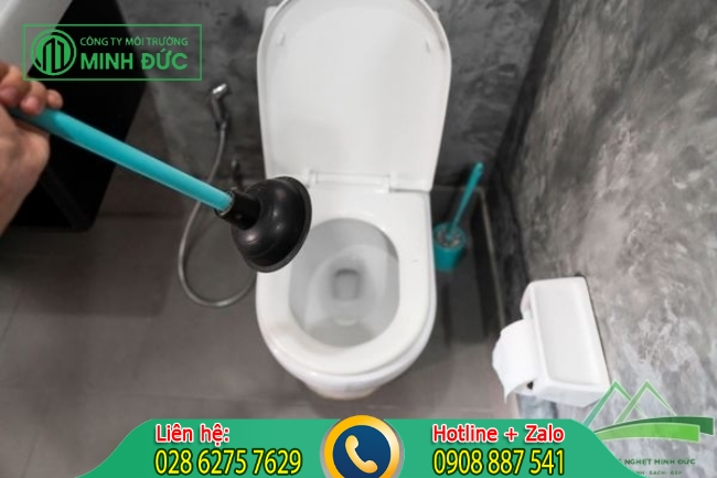 C&acirc;y th&ocirc;ng tắc bồn cầu l&agrave; g&igrave;