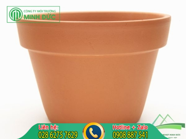 Diệt kiến bằng chậu hoa nhỏ