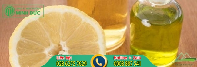 Sử dụng h&oacute;a chất diệt kiến