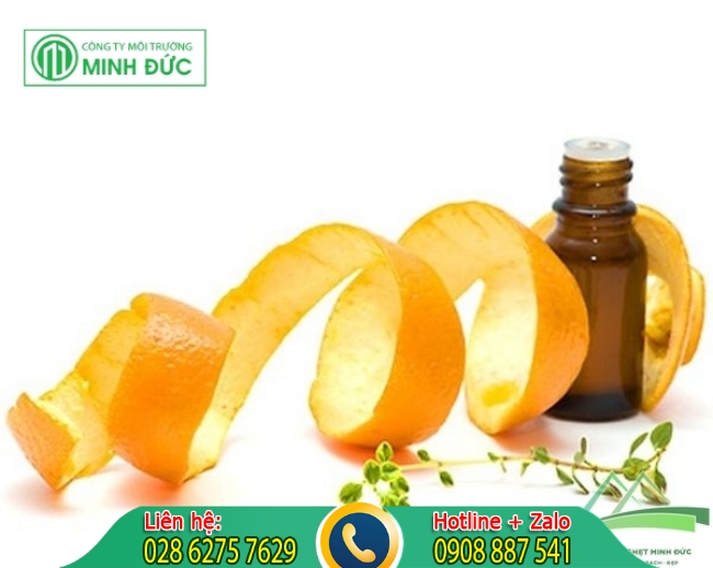 Ti&ecirc;u diệt kiến bằng tỏi