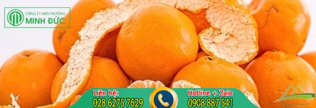 Sử dụng nước chanh để diệt kiến