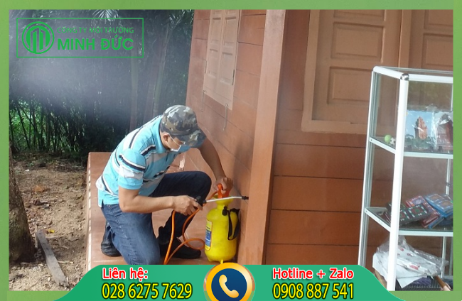 C&aacute;c dịch vụ diệt mối tại nh&agrave; đảm bảo uy t&iacute;n