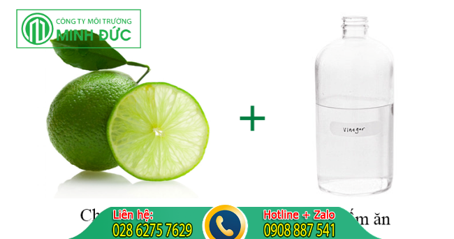 Diệt mối bằng chanh v&agrave; giấm ăn