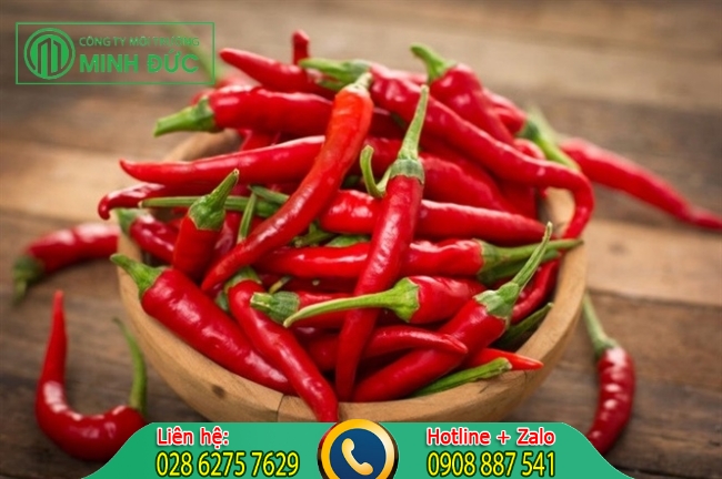 Diệt mối bằng ớt