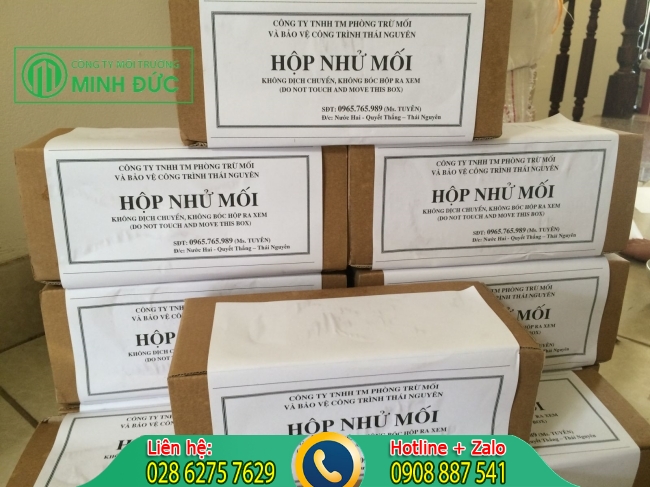 Diệt mối tận gốc với hộp nhử mối