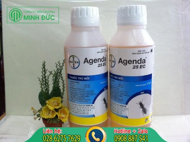 Sử dụng thuốc diệt mối