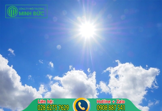 Tận dụng &aacute;nh nắng mặt trời để diệt mối