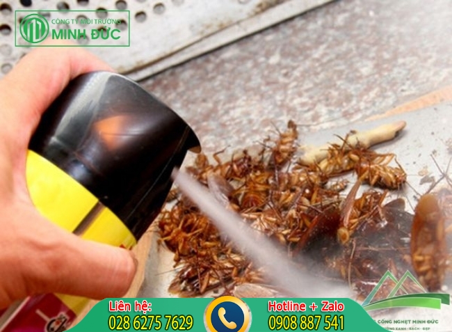 Diệt gi&aacute;n bằng xịt g&ocirc;m
