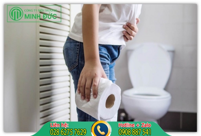 Bồn cầu bị nghẹt do lượng giấy vệ sinh qu&aacute; nhiều