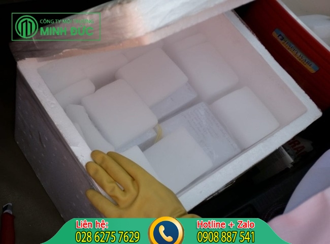 cách đuổi muỗi trong nhà hiệu quả