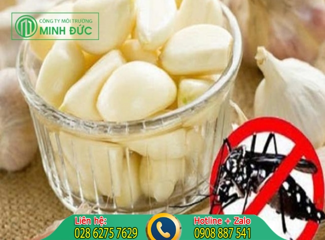 cách đuổi muỗi trong nhà