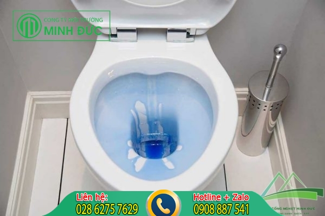V&igrave; sao phải sử dụng nước tẩy rửa bồn cầu?