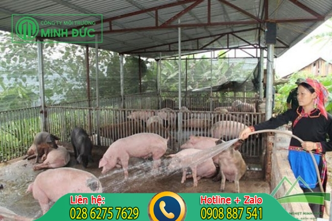 Tổng quan về nước thải chăn nu&ocirc;i