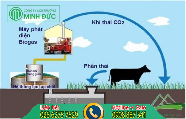 Xử l&yacute; nước thải chăn nu&ocirc;i với hầm biogas