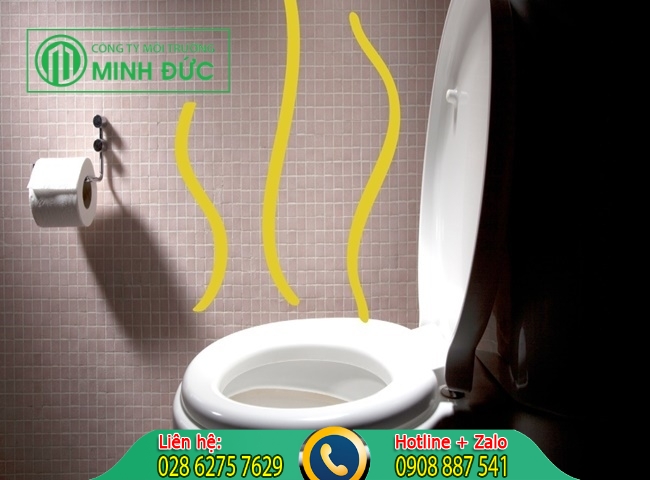 Mùi hôi phát ra từ hệ thống thông hơi bồn cầu