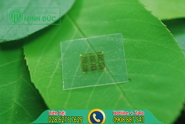 L&agrave;m chip bằng gỗ