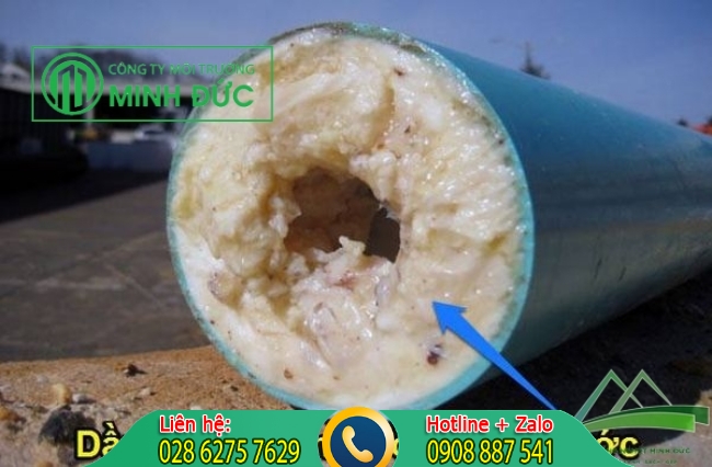 Nguy&ecirc;n nh&acirc;n dẫn đến tắc ống tho&aacute;t nước