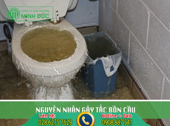 Th&ocirc;ng bồn cầu ngồi xổm