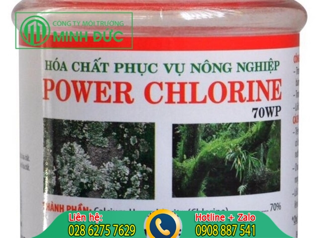 thuốc trị rong rêu trên cây mai