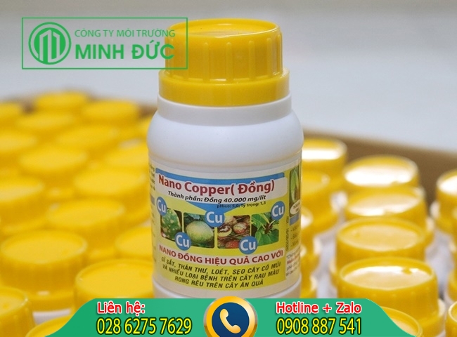 thuốc tẩy rong rêu amigo