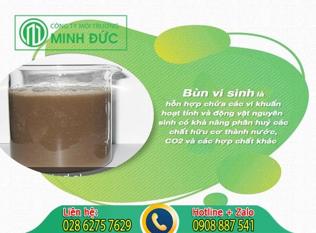 vận chuyển b&ugrave;n vi sinh v&agrave; ph&acirc;n loại