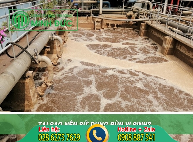 tại sao vận chuyển b&ugrave;n vi sinh