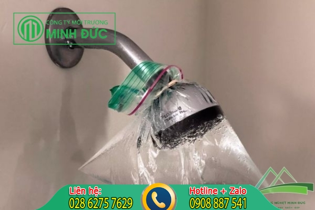 Mẹo vặt gi&uacute;p cho v&ograve;i sen lu&ocirc;n s&aacute;ng b&oacute;ng