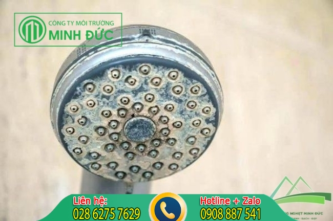 Nguy&ecirc;n nh&acirc;n khiến cho v&ograve;i sen bị ngả m&agrave;u, ố v&agrave;ng